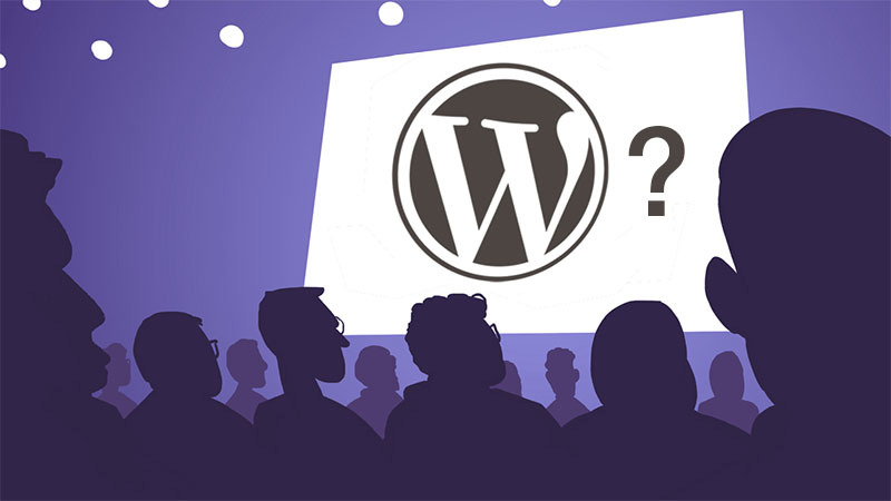 Web Sitesinde Wordpress mi Özgün Yazılım mı?